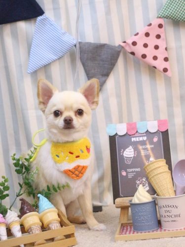 20250507ましゅくん